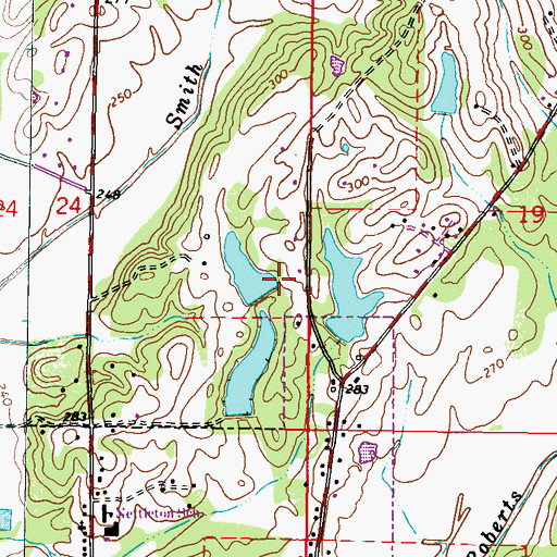 Topographic Map of Ed Burgess Lake Dam, MS