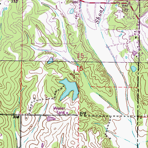 Topographic Map of B G Coggins Lake Dam, MS