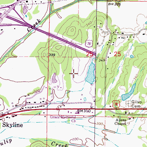 Topographic Map of Roy Bogan Pond Dam, MS