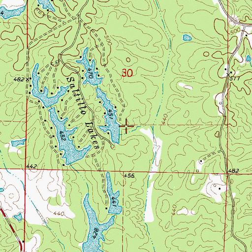 Topographic Map of Saltillo Fishing Club Dam, MS
