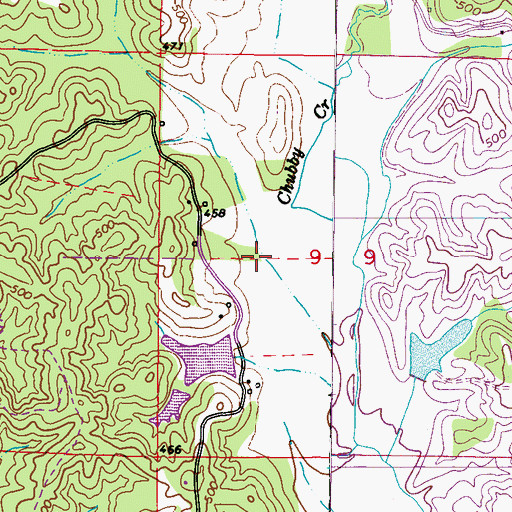 Topographic Map of Neil Page Pond Dam, MS