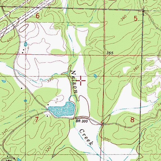 Topographic Map of D R Houpt Pond Dam, MS
