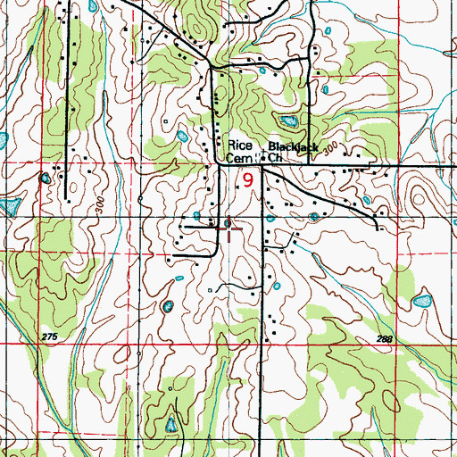 Topographic Map of Black Jack, MS