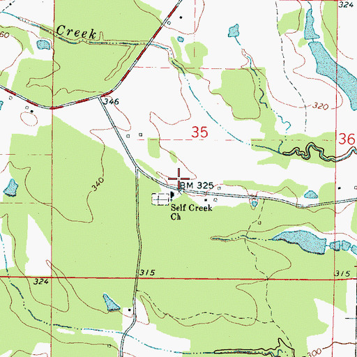 Topographic Map of Self Creek, MS