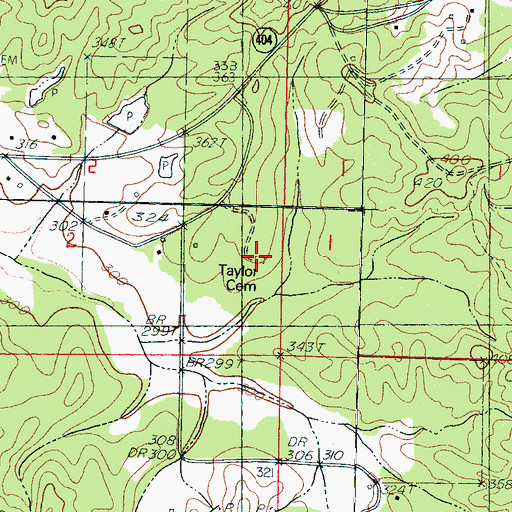 Topographic Map of Taylor Cemetery, MS