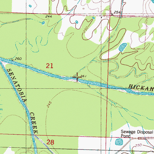 Topographic Map of Billys Creek, MS