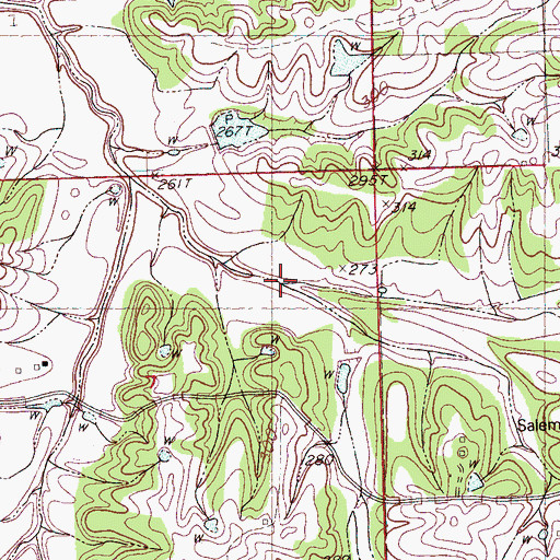 Topographic Map of East Branch Strayhorn Creek, MS
