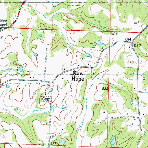 Topographic Map of New Hope, MS