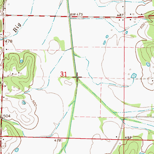 Topographic Map of Guin Branch, MS