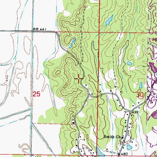 Topographic Map of Prentiss County Home (historical), MS