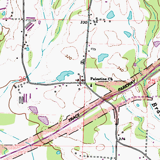 Topographic Map of Palestine School (historical), MS