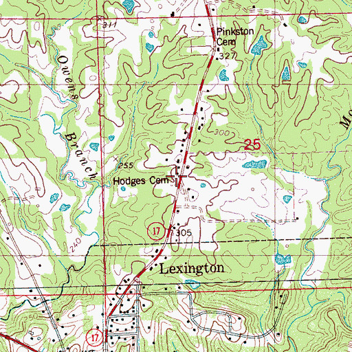 Topographic Map of Hodges Cemetery, MS