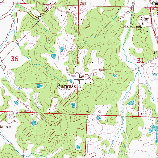 Topographic Map of Burgess, MS