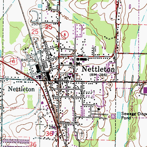 Topographic Map of Nettleton Presbyterian Church, MS
