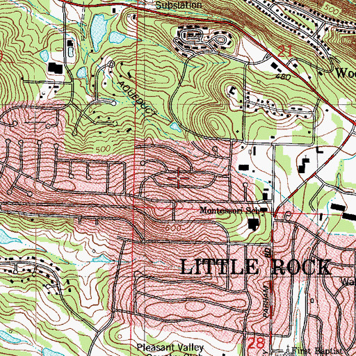 Topographic Map of Pleasant Forest, AR