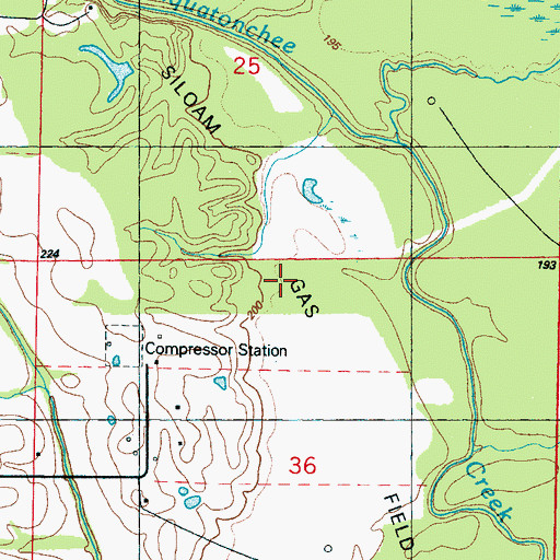 Topographic Map of Siloam Gas Field, MS