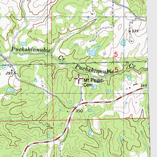 Topographic Map of Mount Pisgah Cemetery, MS