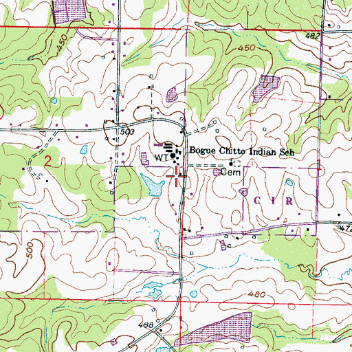 Topographic Map of Bogue Chitto, MS