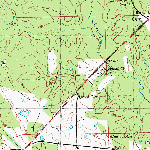 Topographic Map of Duck Cemetery, MS