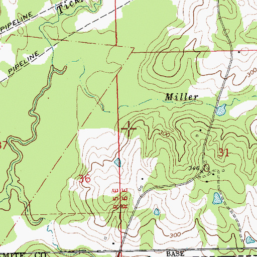Topographic Map of Felder-Williams Cemetery, MS