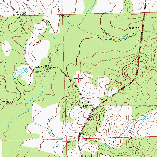 Topographic Map of Newman Cemetery, MS