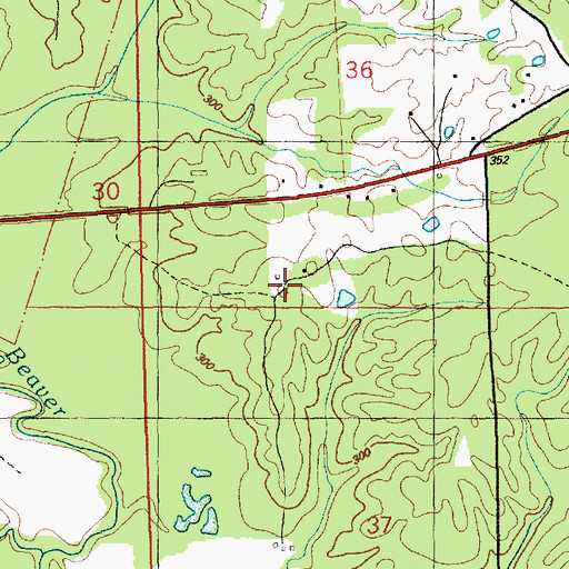 Topographic Map of Smylie Cemetery, MS