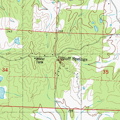 Topographic Map of Bluff Springs, MS