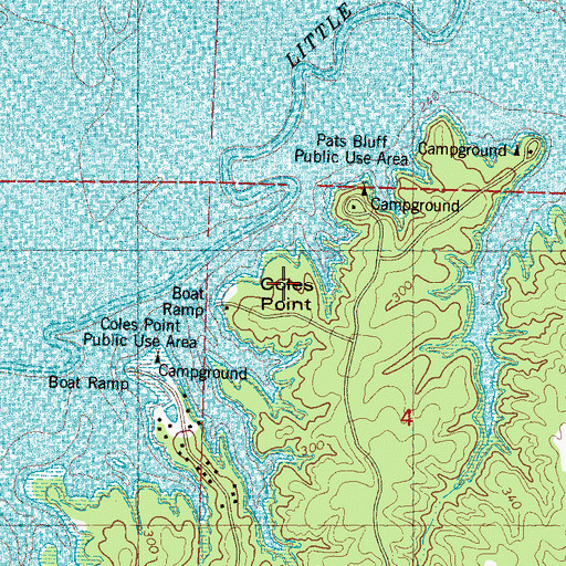 Topographic Map of Coles Point, MS