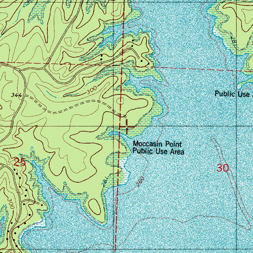 Topographic Map of Moccasin Point Public Use Area, MS