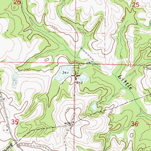 Topographic Map of Dogwood Island (historical), MS