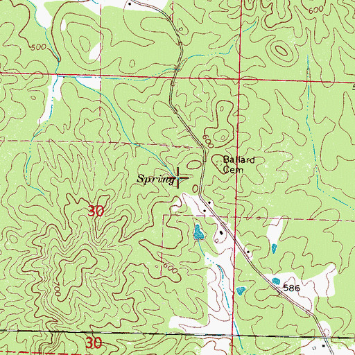 Topographic Map of Lignite Spring, MS