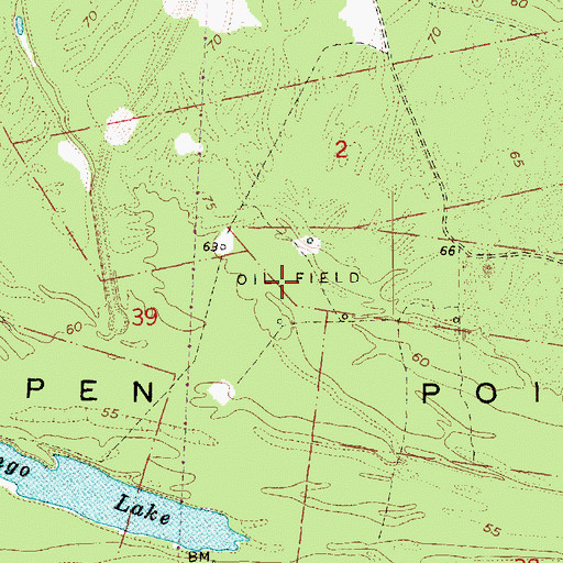 Topographic Map of Cowpen Point Oil Field, MS