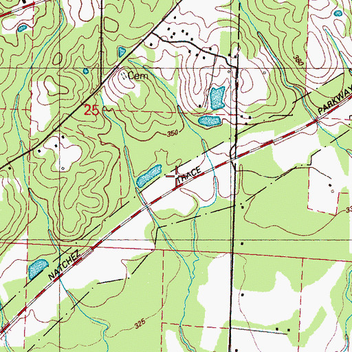 Topographic Map of Williamstown (historical), MS