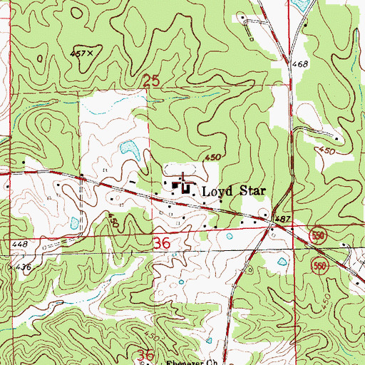 Topographic Map of Lloyd Star Consolidated School, MS