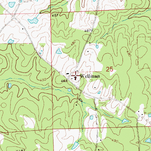 Topographic Map of Wellman Baptist Church, MS