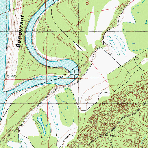 Topographic Map of Bruinsburg Bend, MS