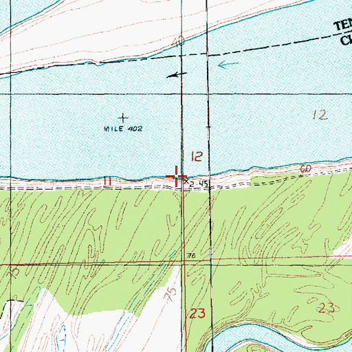 Topographic Map of Whitehall Landing, MS