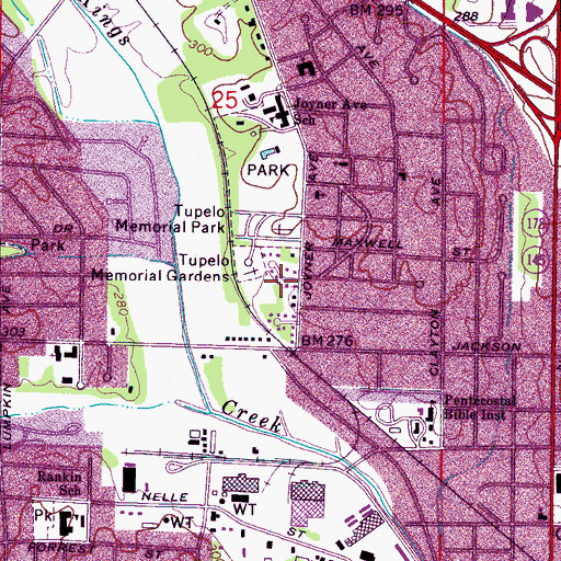 Topographic Map of Briarwood, MS