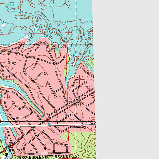 Topographic Map of Paradise Point, MS