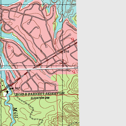 Topographic Map of Pelahatchie Woods, MS