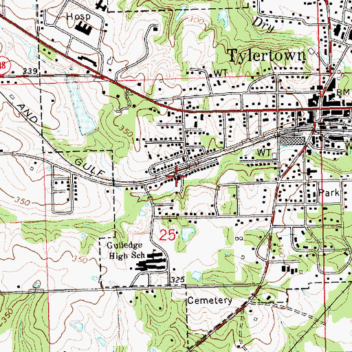 Topographic Map of Tylertown Baptist Church, MS