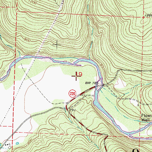 Topographic Map of Township of Cove City, AR