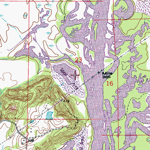 Topographic Map of Coontail Road Access Area, MS