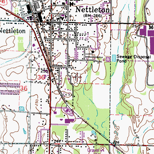 Topographic Map of Nettleton Cemetery, MS