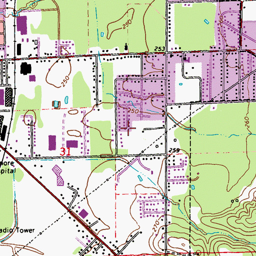 Topographic Map of Parkview, MS