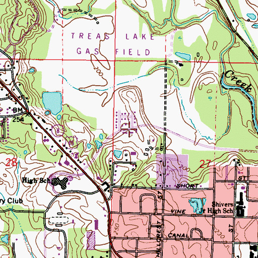 Topographic Map of Piney Grove, MS