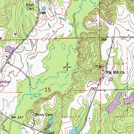 Topographic Map of Ross Mill (historical), MS