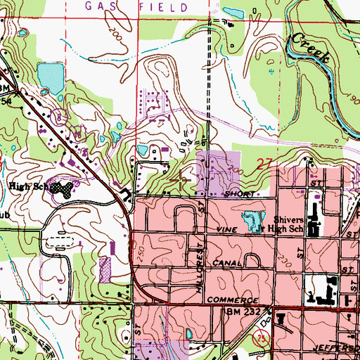 Topographic Map of Vasser, MS