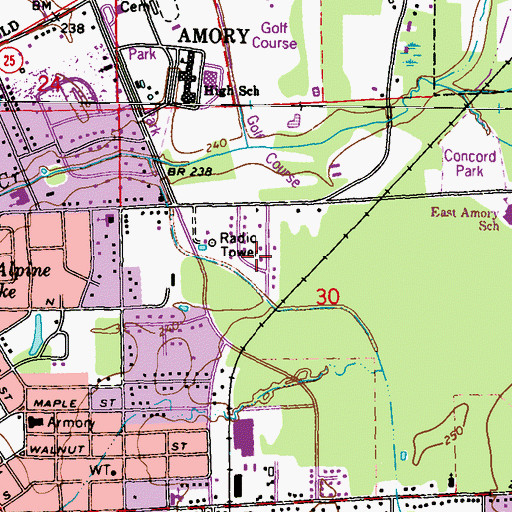 Topographic Map of Wildwood, MS