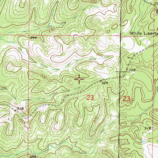 Topographic Map of Gin (historical), MS